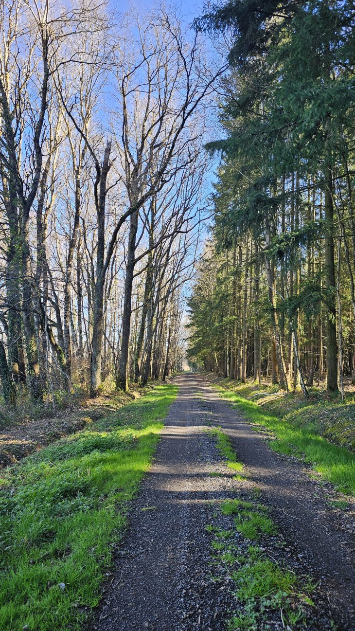 En direction de Saint-Saturnin, Sentier des Maîtres Sonneurs