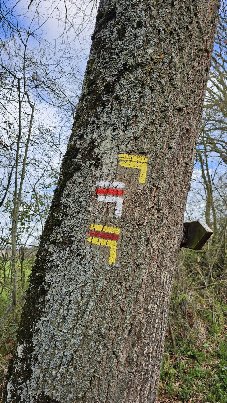 Balisage du Sentier des Maîtres Sonneurs