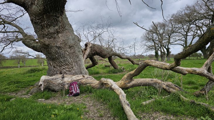 Pause au milieu de nulle part, Sentier des Maîtres Sonneurs