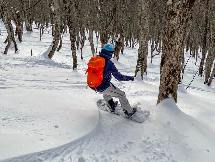 Test Pantalon de Ski Odlo X-Alp 3L