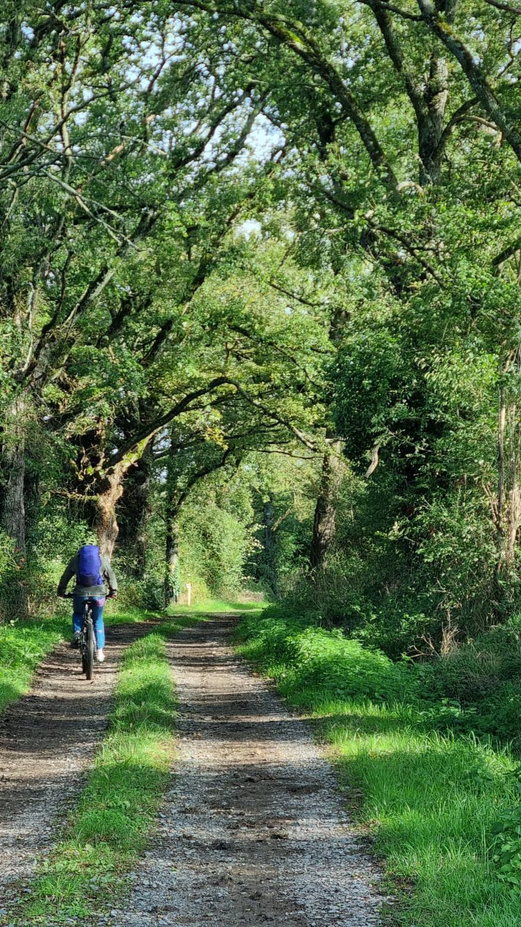 Grande Traversée VTT de la Creuse de Guéret à Mainsat