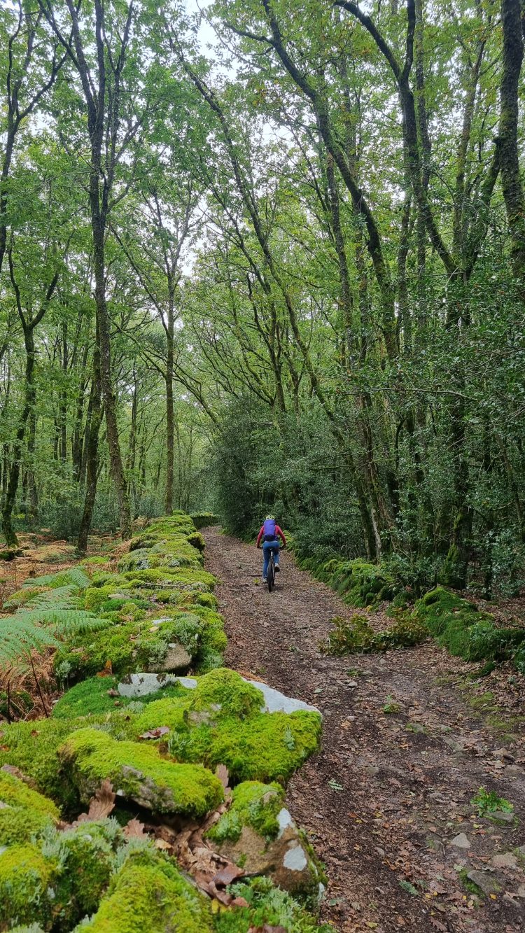 Grande Traversée VTT de la Creuse de Guéret à Mainsat