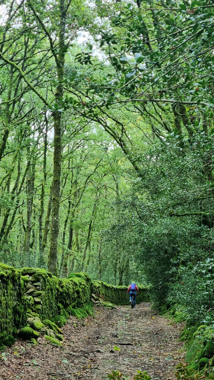 Grande Traversée VTT de la Creuse de Guéret à Mainsat