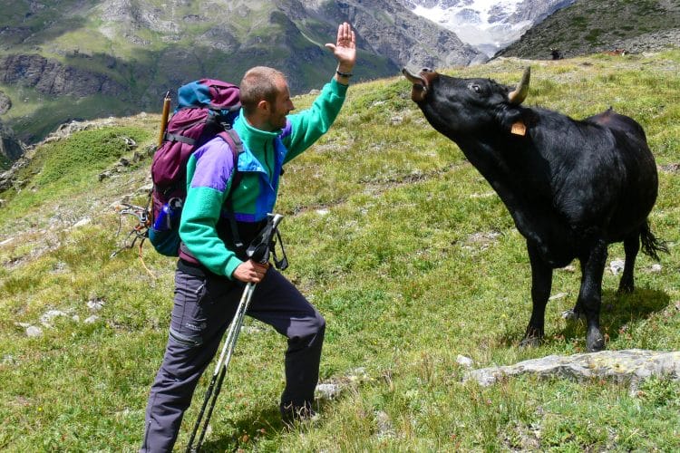 Haute Route du Grand Paradis