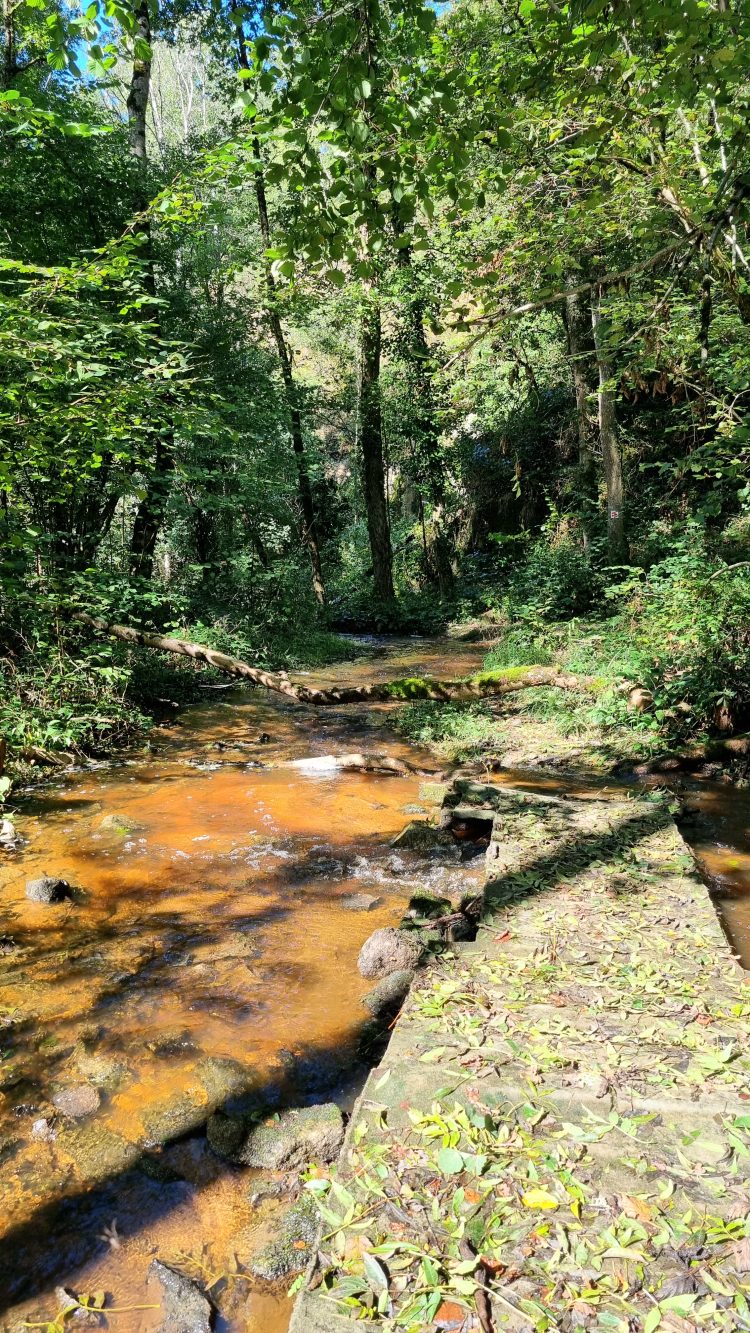 Grande Traversée VTT de la Creuse de Guéret à Mainsat