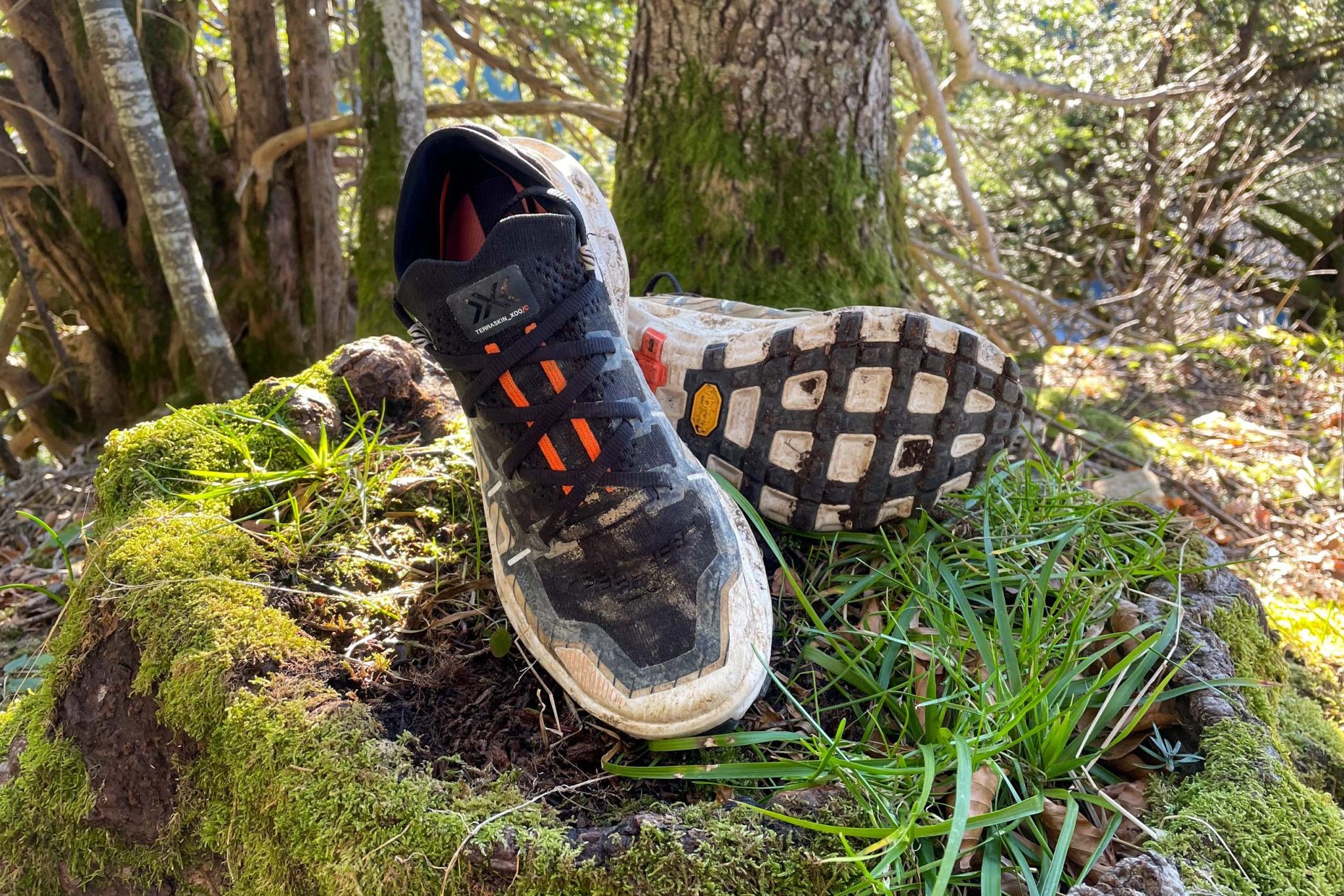 Test Chaussures de trail X-Bionic TerraSkin X00/C