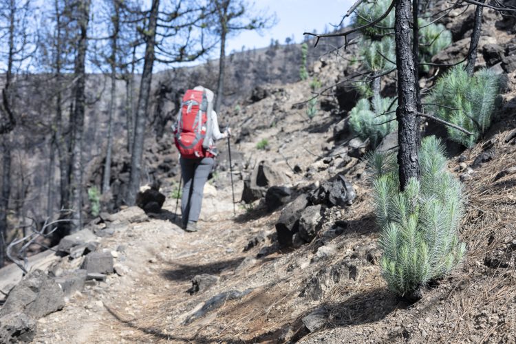 Grande traversée de la Palma par le GR131