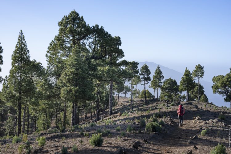 Grande traversée de la Palma par le GR131