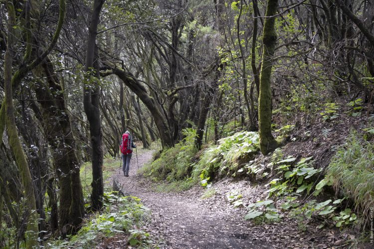 Grande traversée de la Palma par le GR131