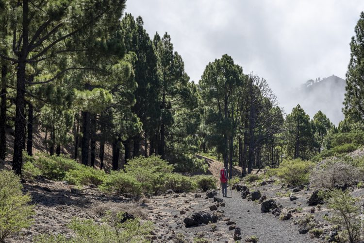 Grande traversée de la Palma par le GR131