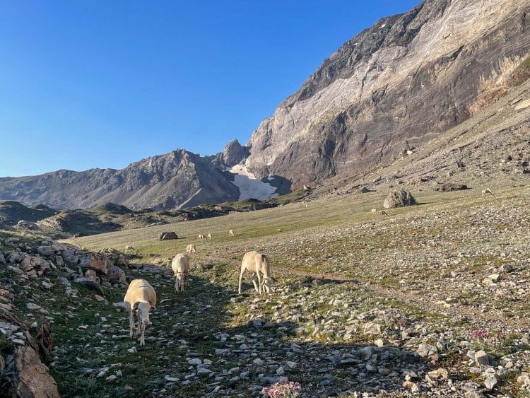 Haute Route Pyrénéenne (HRP) partie 4 - Parc National des Pyrénées