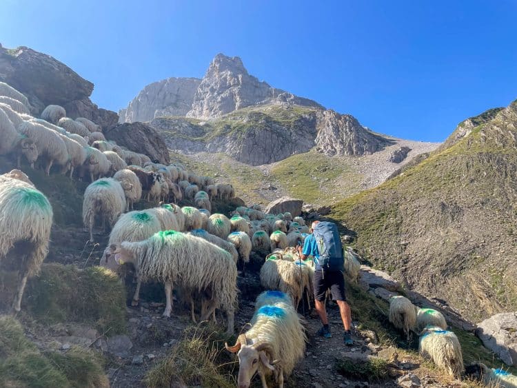 Haute Route Pyrénéenne (HRP) partie 4 - Parc National des Pyrénées