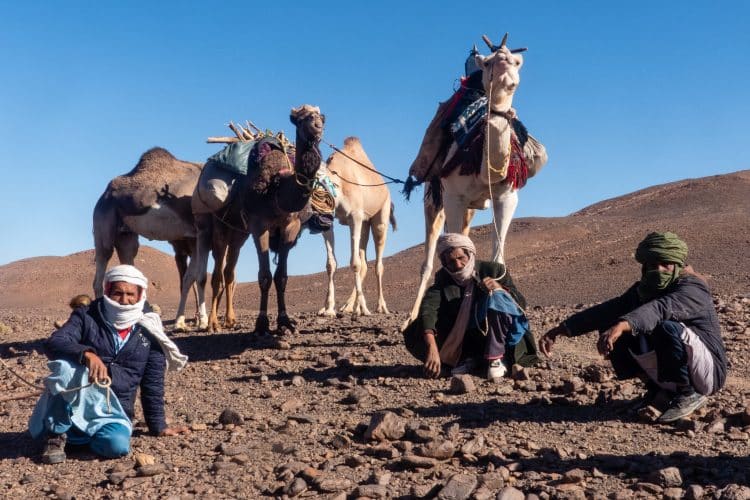 Trek dans le Hoggar