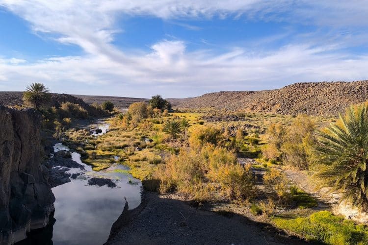 Trek dans le Hoggar