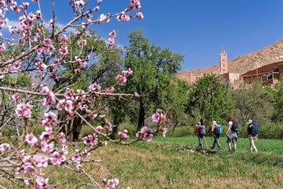 Randonnée dans la Vallée des Roses (Maroc)